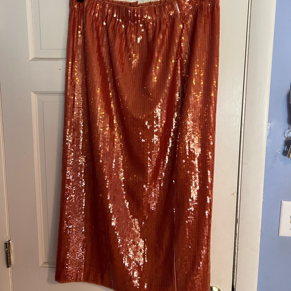 J Crew Clay Sequin skirt in size large. Only worn twice